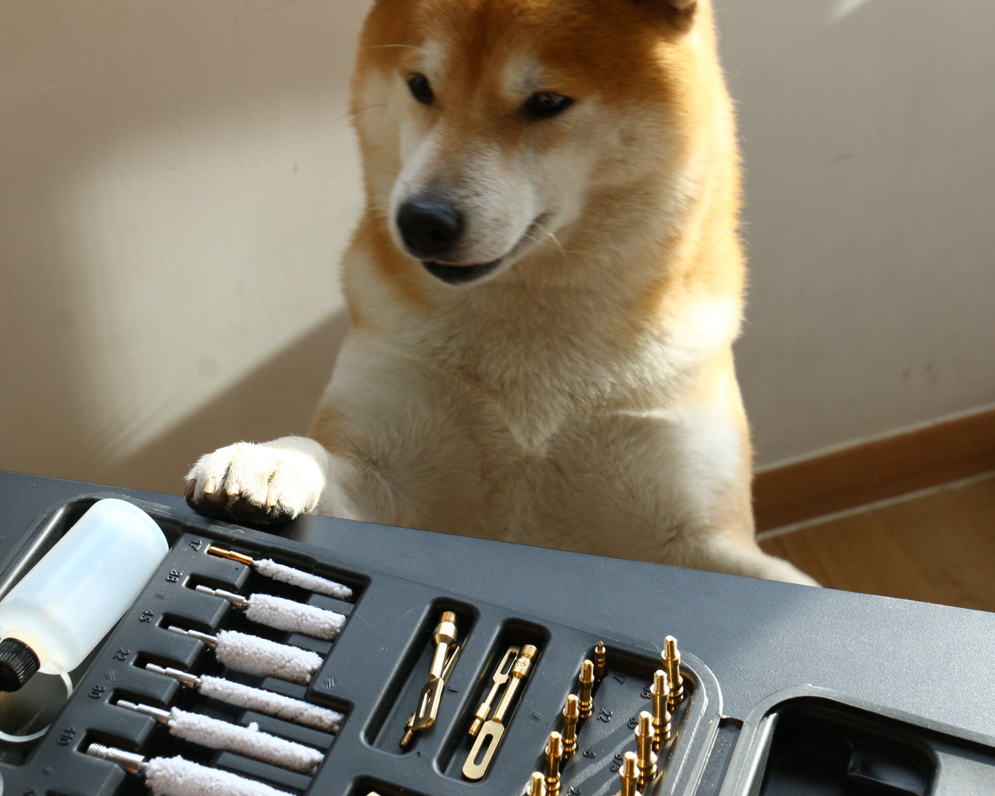 Universal Gun Cleaning Kit